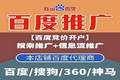 百度网络推广实战技巧：案例解析，让广告投放更精准